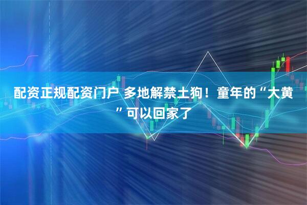 配资正规配资门户 多地解禁土狗！童年的“大黄”可以回家了