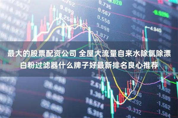 最大的股票配资公司 全屋大流量自来水除氯除漂白粉过滤器什么牌子好最新排名良心推荐