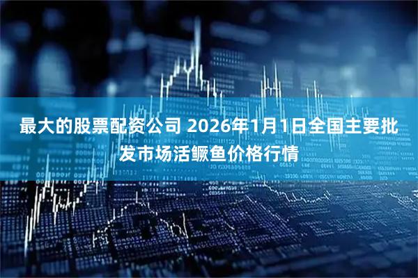 最大的股票配资公司 2026年1月1日全国主要批发市场活鳜鱼价格行情