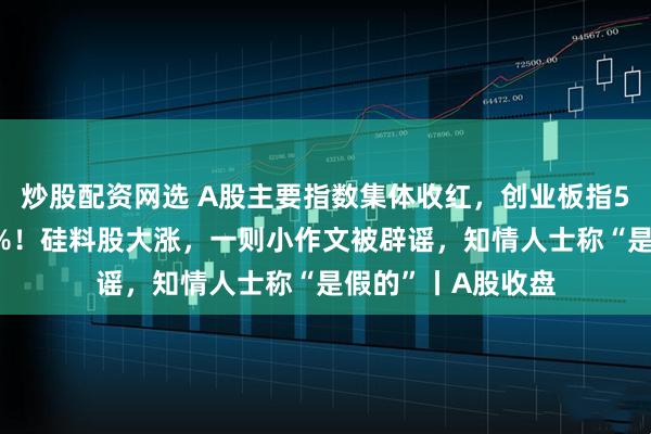 炒股配资网选 A股主要指数集体收红，创业板指5天累计大涨超10%！硅料股大涨，一则小作文被辟谣，知情人士称“是假的”丨A股收盘